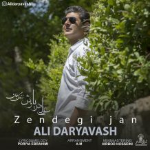 دانلود آهنگ جدید علی دریاوش به نام زندگی جان